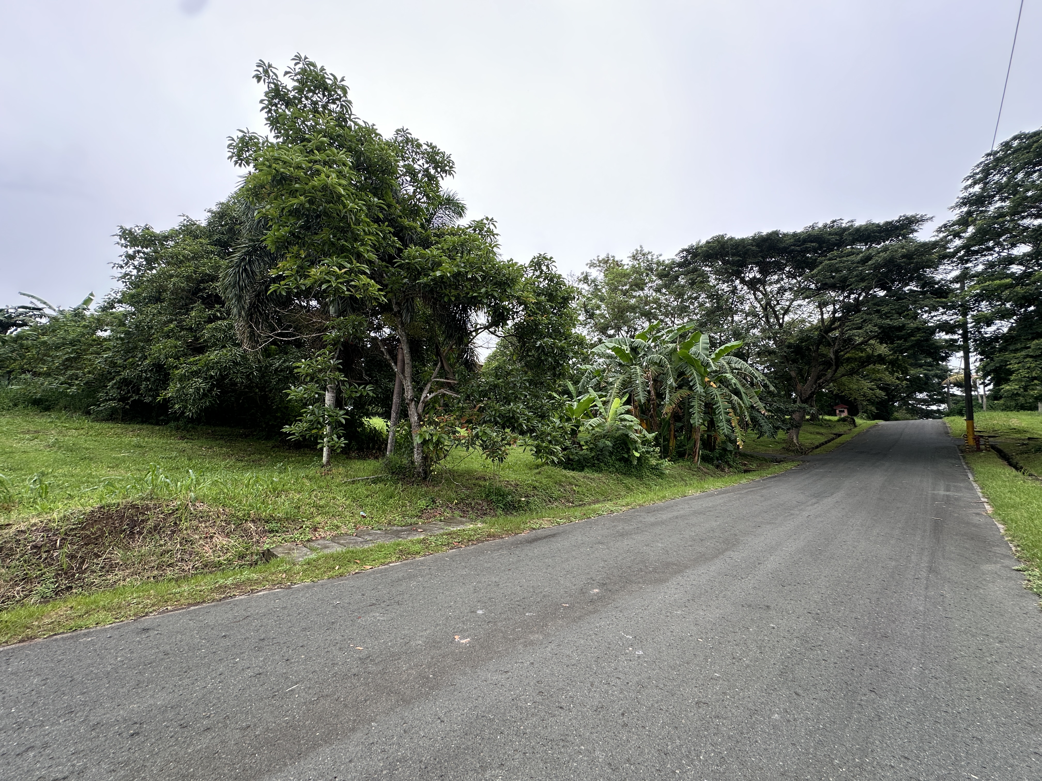 750 sqm Residential Lot For Sale in Tagaytay Highlands, Tagaytay| Residential Lot for Sale | Property ID: EA023 — photo 2