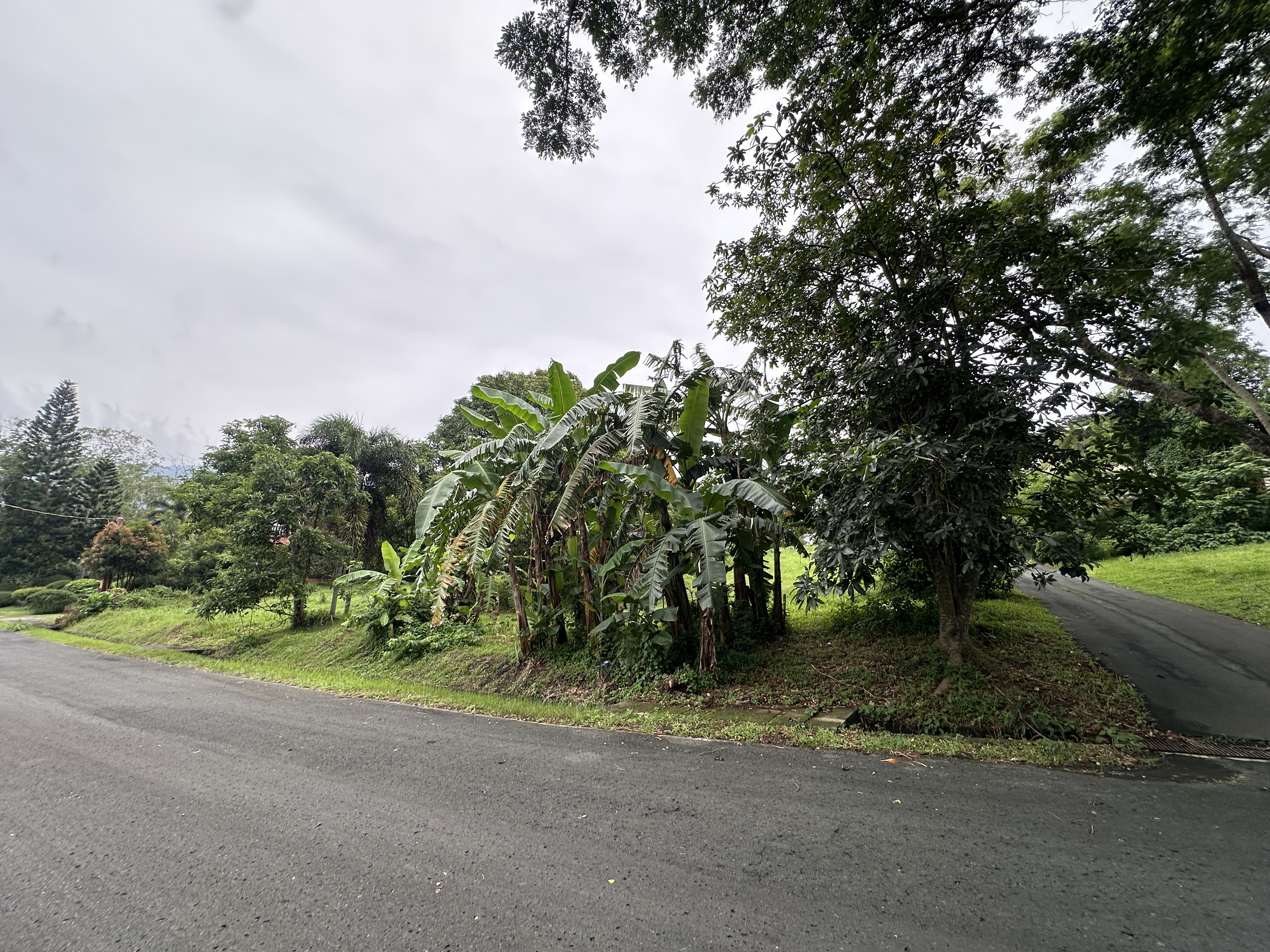 750 sqm Residential Lot For Sale in Tagaytay Highlands, Tagaytay| Residential Lot for Sale | Property ID: EA023 — photo 3