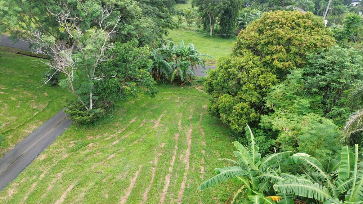 750 sqm Residential Lot For Sale in Tagaytay Highlands, Tagaytay| Residential Lot for Sale | Property ID: EA023 — photo 5