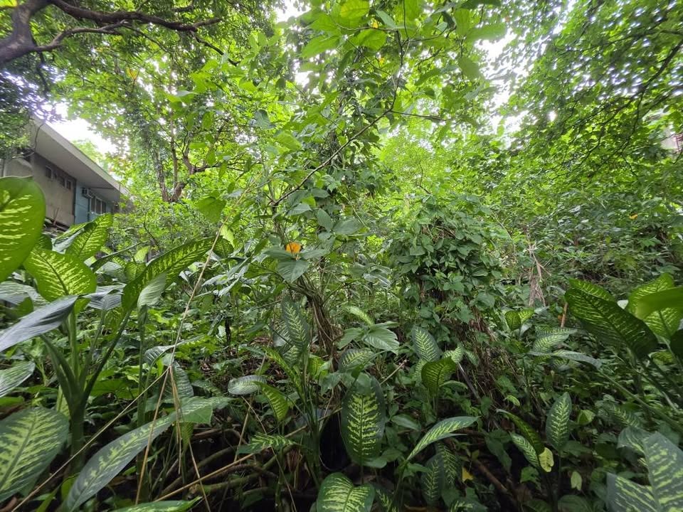 Vacant Lot for Sale in Blue Ridge A Quezon City Property ID: RT084 — photo 4